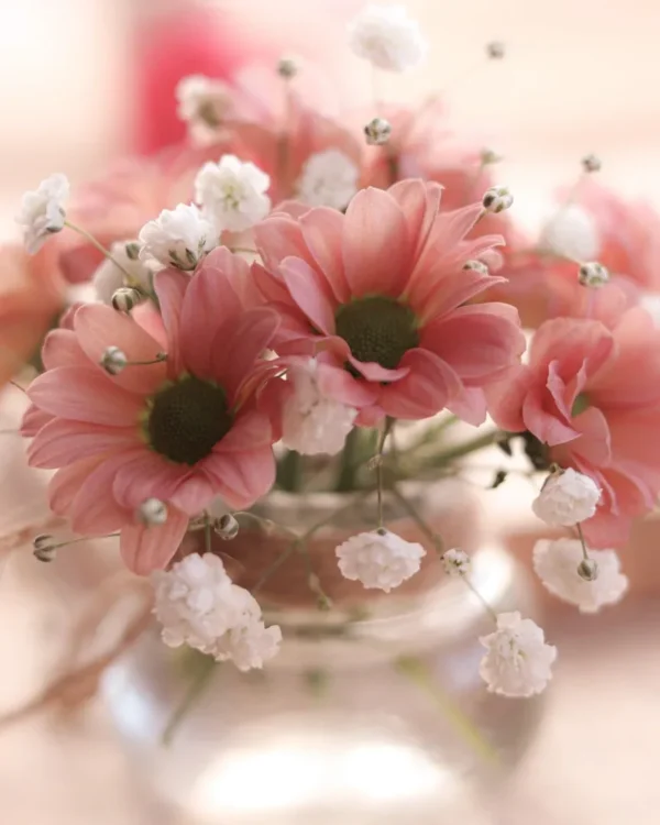 puokštė anemone, Tyrumas