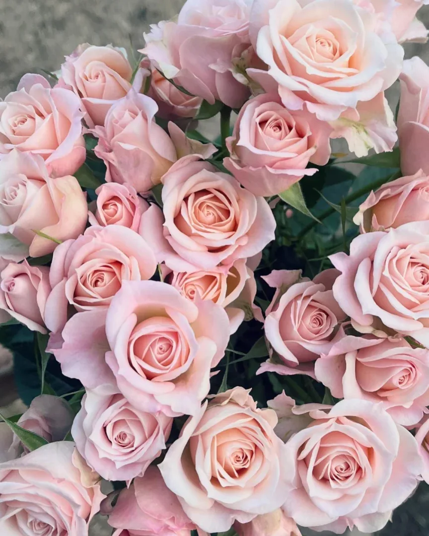 Rožių puokštė - Image 2