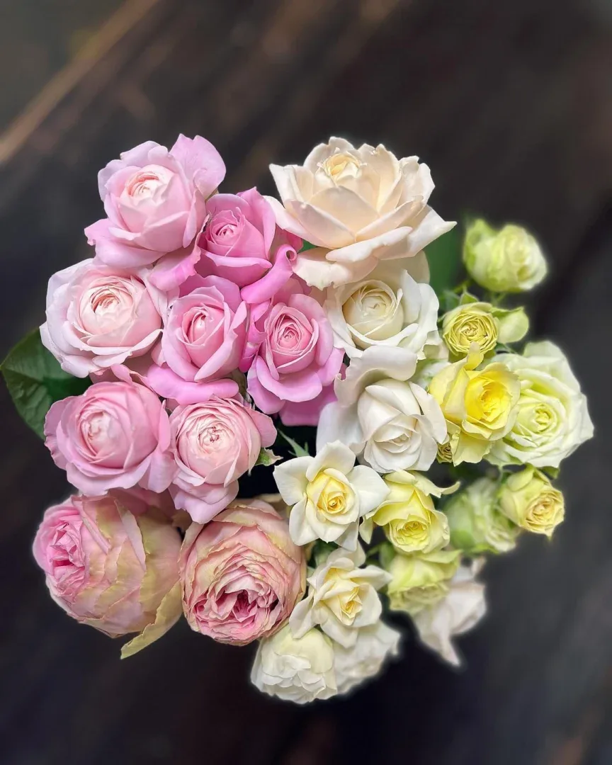 Rožių puokštė Momentai 4 - Image 2