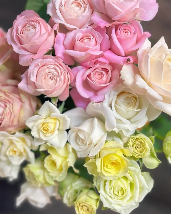 Rožių puokštė Momentai 4