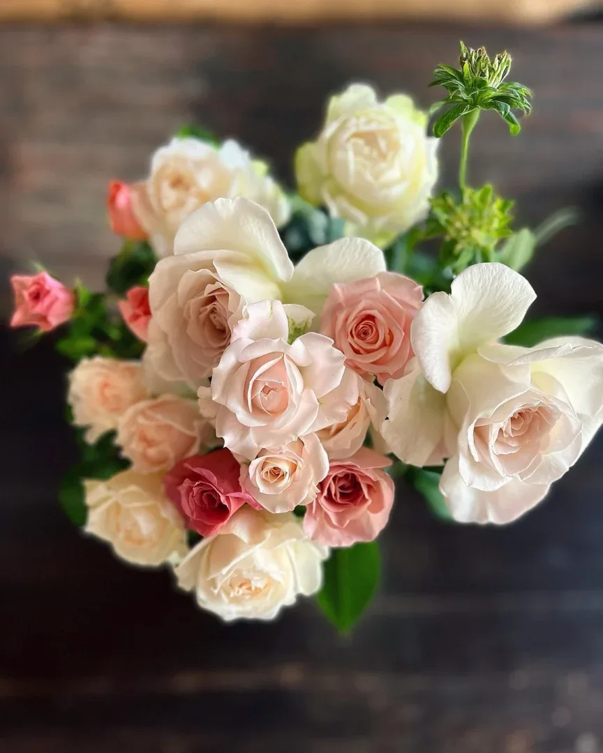 Rožių puokštė Momentai 6