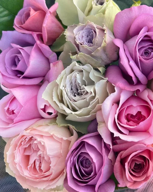 Rožių puokštė Gimtadienio