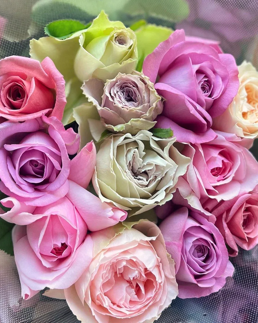 Rožių puokštė Gimtadienio - Image 2