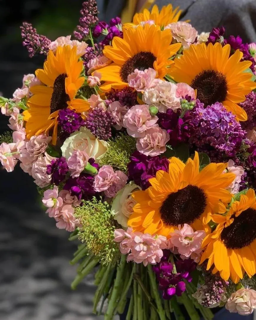 Saulės puokštės - Image 4