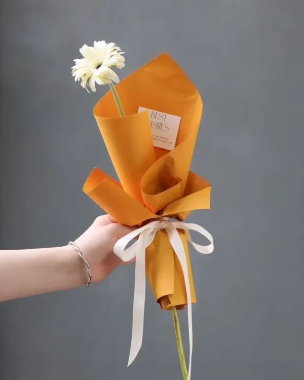 Miss Kikoto puokštės