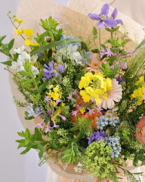 Miss Kikoto puokštės