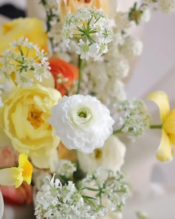 Miss Kikoto puokštės